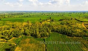 Entebe  100*100 Plot For Sale