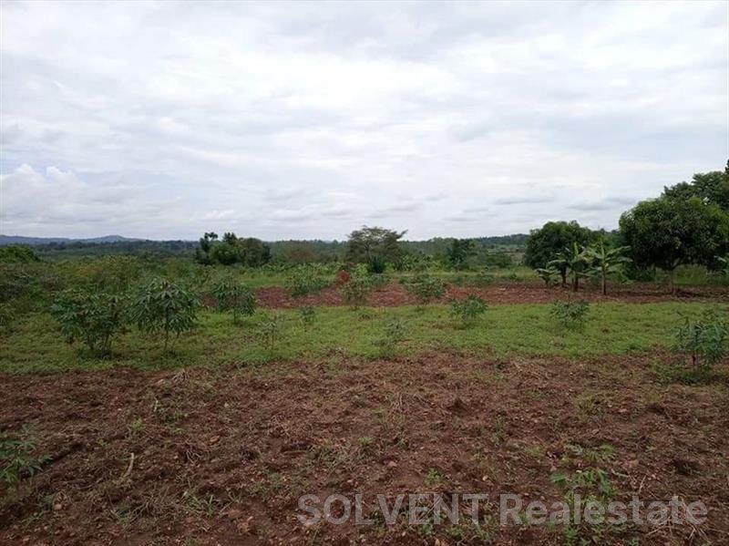 3 Acres of land