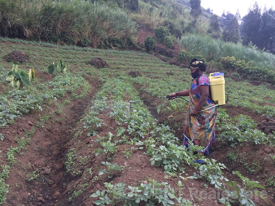 2 acres of land in kabale