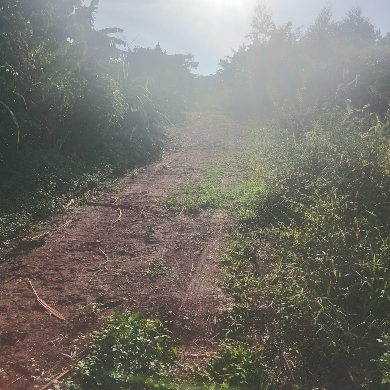 1 Acre Mailo Land for Sale